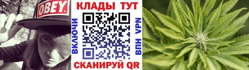Где купить наркоту Камень-на-Оби Cocaine  Конопля  Меф  ГАШИШ 