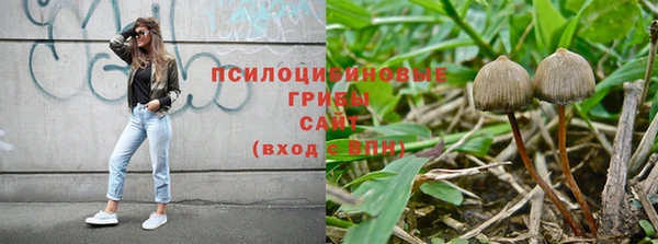 гидра Алзамай