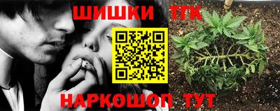 крисы Краснокаменск