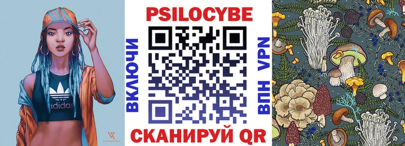 Галлюциногенные грибы Cubensis купить наркотики сайты shop наркотические препараты Камень-на-Оби