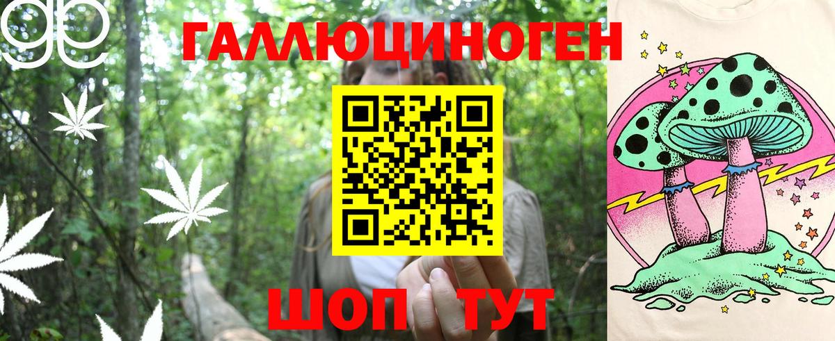 Камень-на-Оби  Галлюциногенные грибы ЛСД  закладка  Вход с VPN 