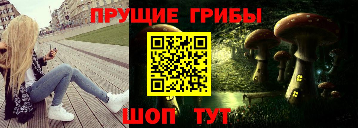 Галлюциногенные грибы Cubensis Камень-на-Оби