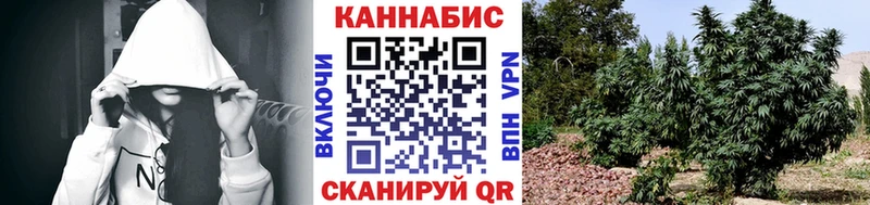 хочу   Камень-на-Оби  Канабис OG Kush 