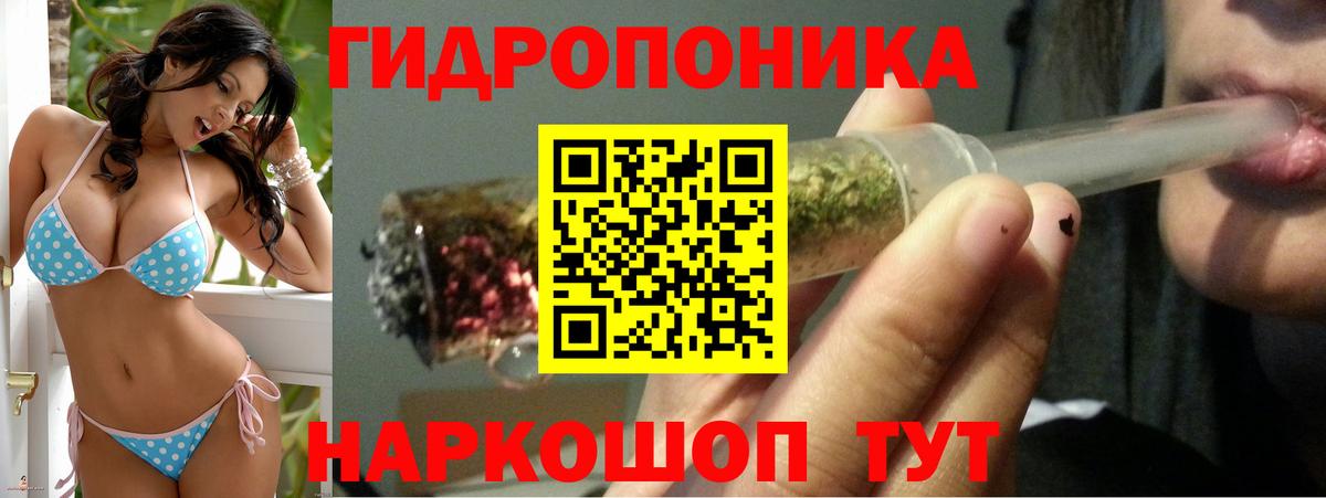 Бошки марихуана LSD WEED  Марихуана Ganja  Вход с VPN  Бошки марихуана семена  Камень-на-Оби  МАРИХУАНА ГИДРОПОН 